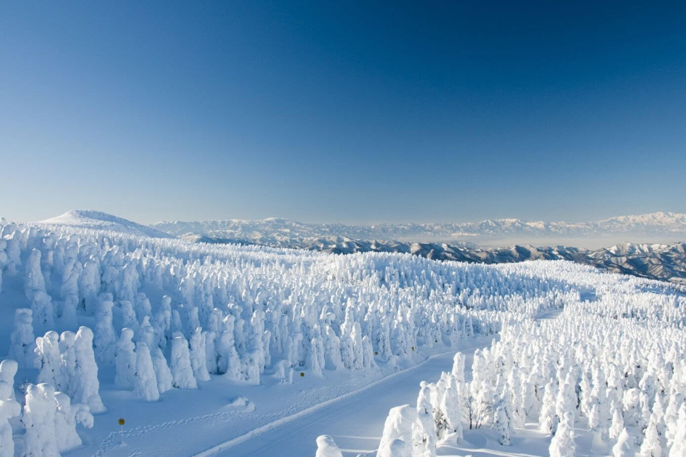 Snow monsters in Zao Onsen